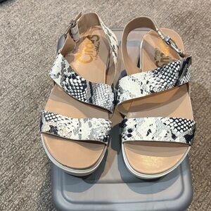 Circus by Sam Edelman Women's Sandals - Black and White Snakeskin